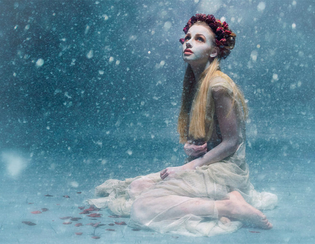 la doncella del invierno, Imagen de la dama de las heladas, representada por la corona de flores eterna.